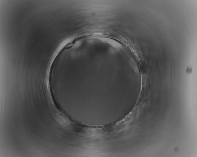 X0000102490147200808221738