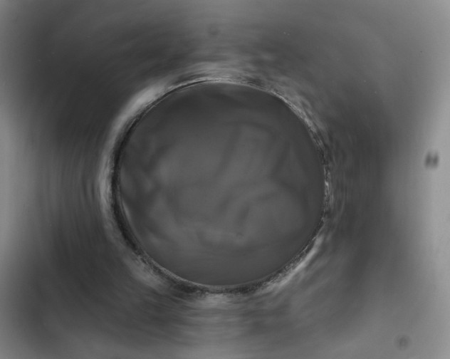 X0000102490149200808221738