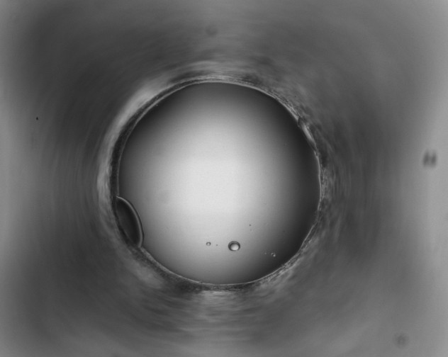 X0000102490150200808221738