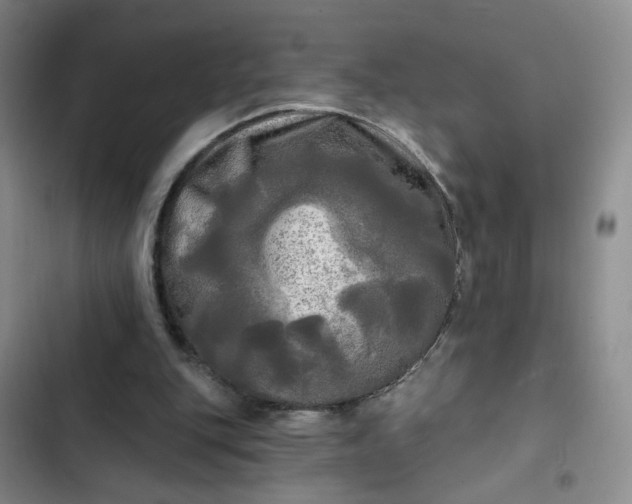 X0000102490151200808221738