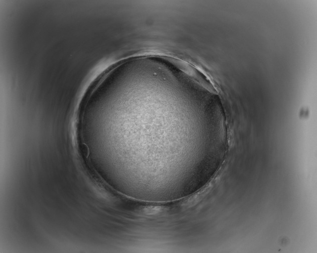 X0000102490152200808221738