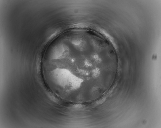 X0000102490153200808221739