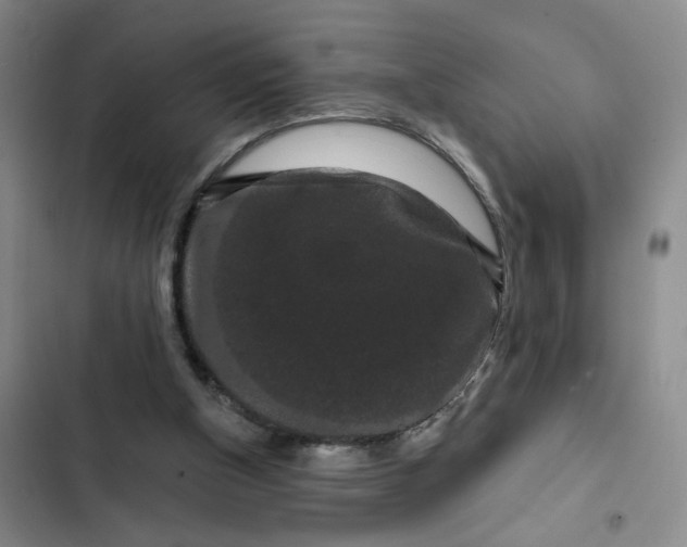 X0000102490154200808221739