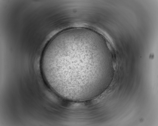 X0000102490155200808221739