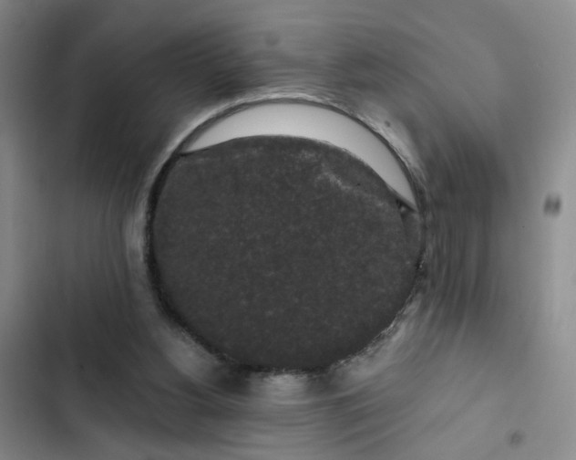 X0000102490156200808221739