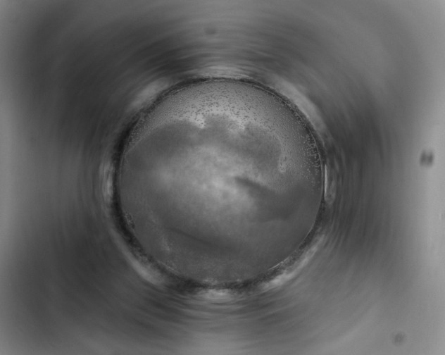 X0000102490157200808221739