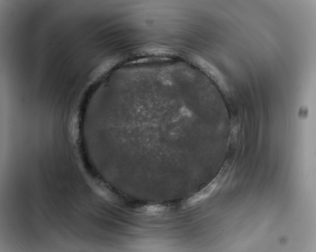 X0000102490158200808221739