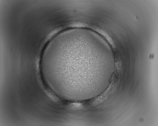 X0000102490159200808221739