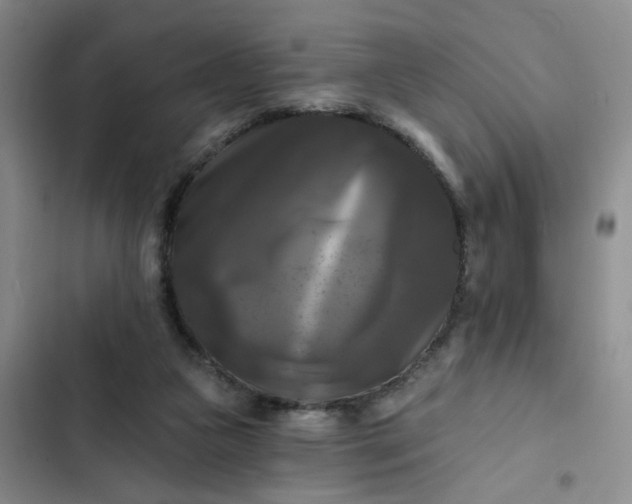 X0000102490161200808221739