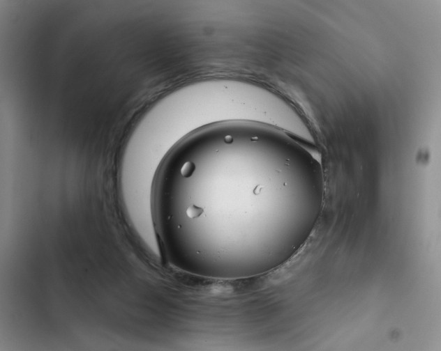 X0000102490162200808221739