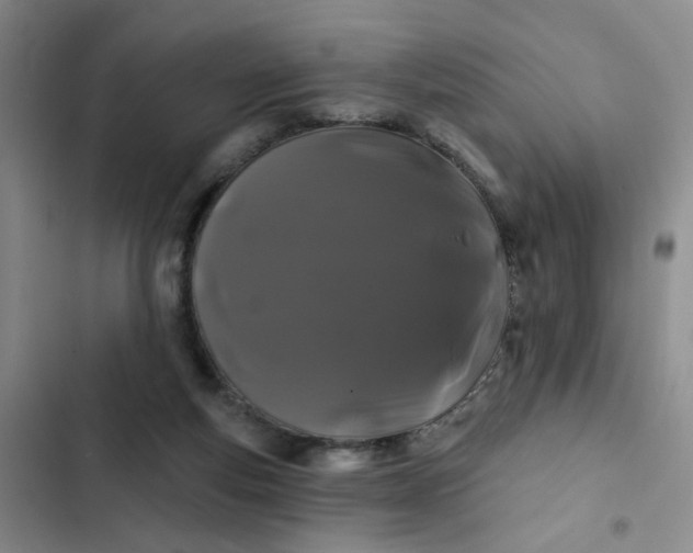 X0000102490163200808221739