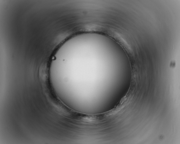 X0000102490164200808221739