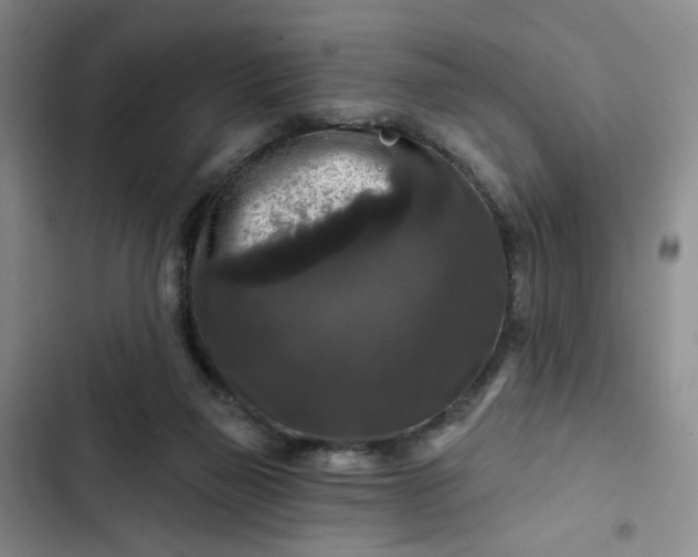 X0000102490165200808221739