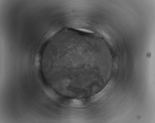 X0000102490166200808221739