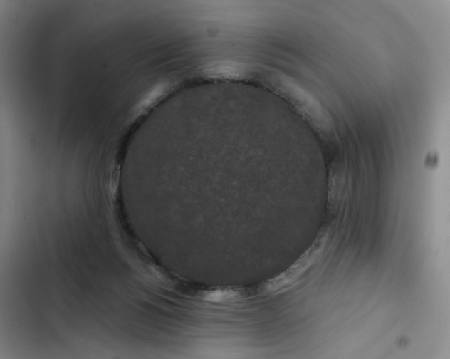 X0000102490168200808221739