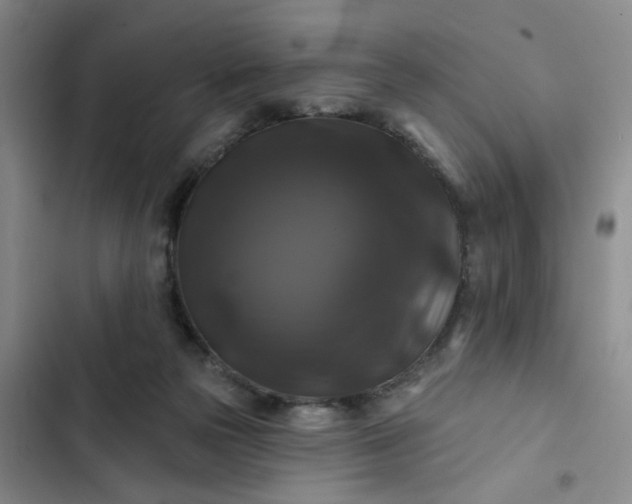 X0000102490169200808221739