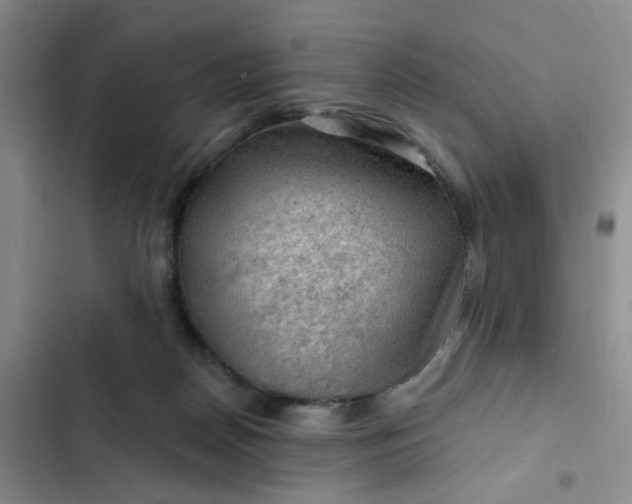 X0000102490170200808221739