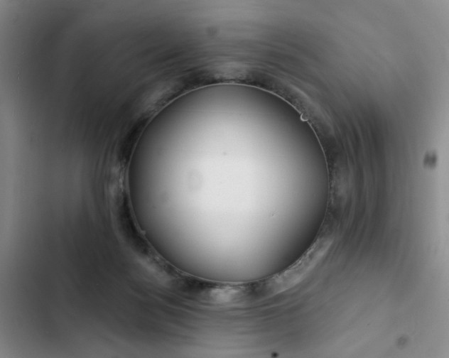 X0000102490172200808221739