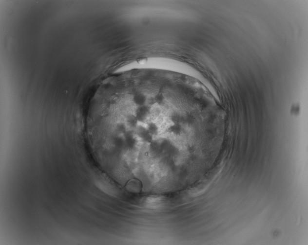 X0000102490173200808221739