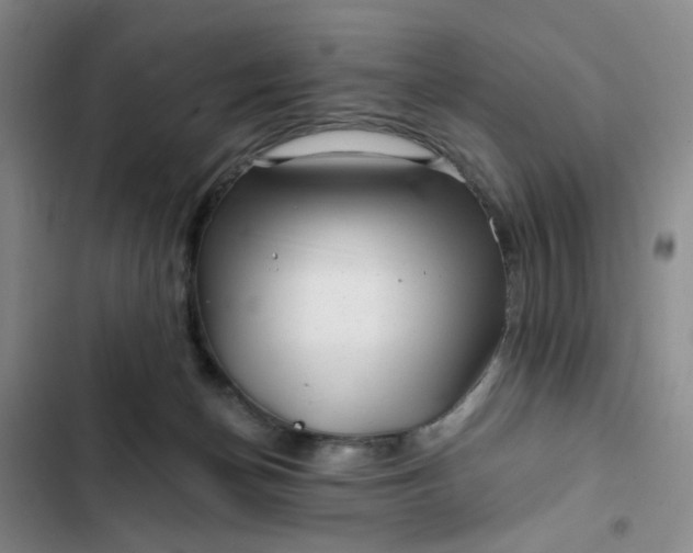 X0000102490174200808221739