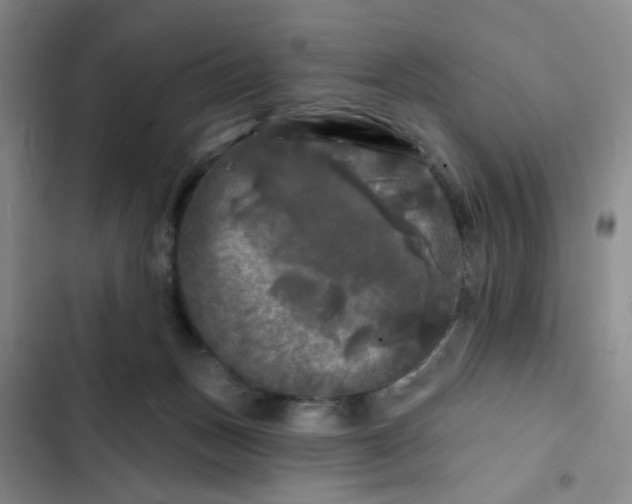 X0000102490175200808221739