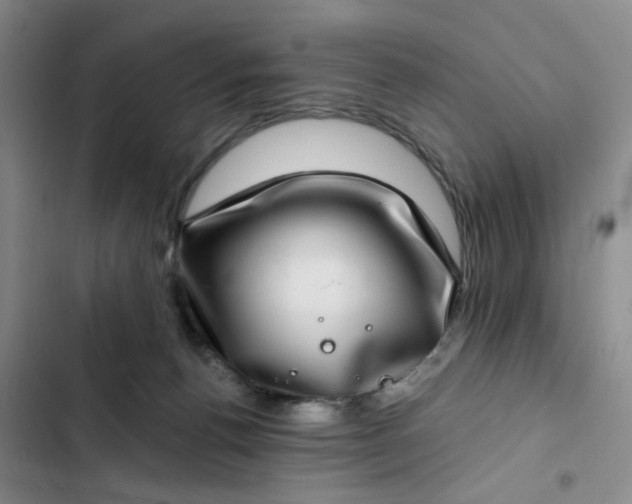 X0000102490176200808221739