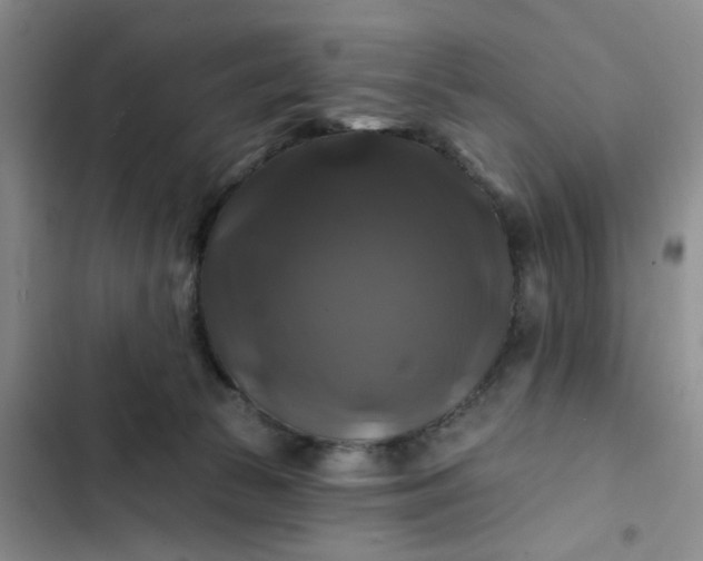 X0000102490177200808221739