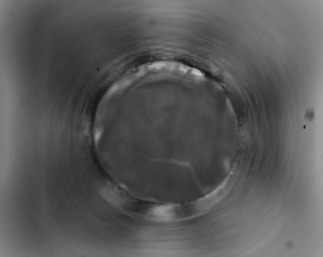 X0000102490178200808221739