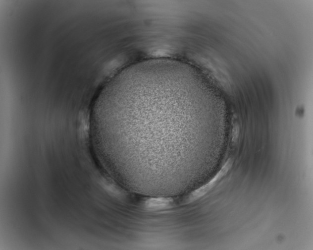 X0000102490179200808221739