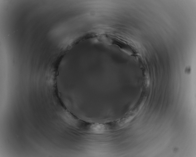 X0000102490181200808221739