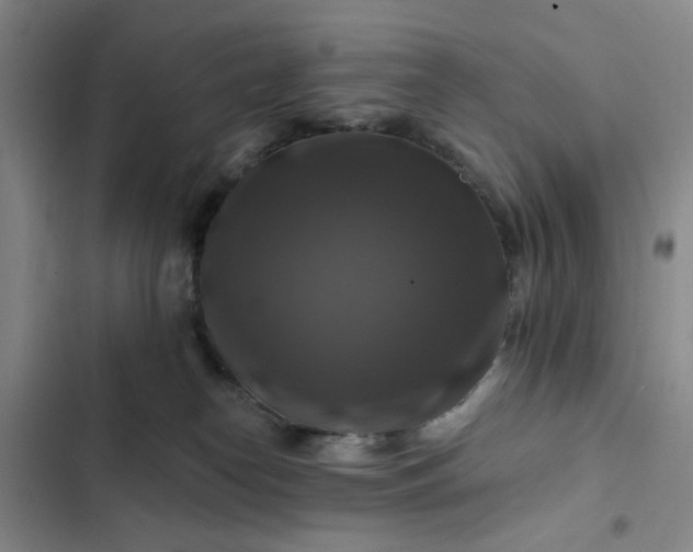 X0000102490182200808221739