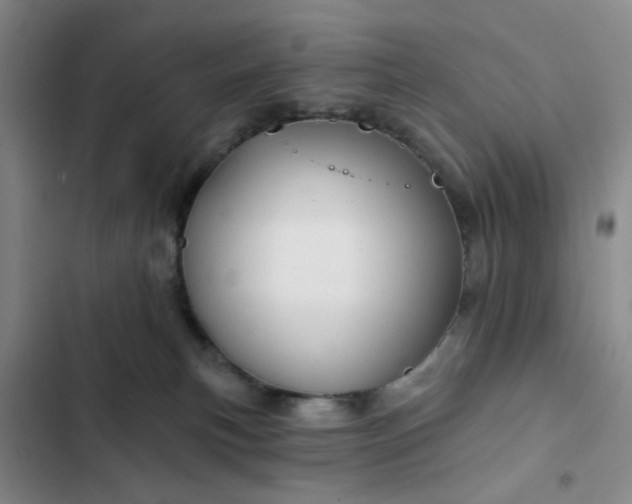 X0000102490183200808221739