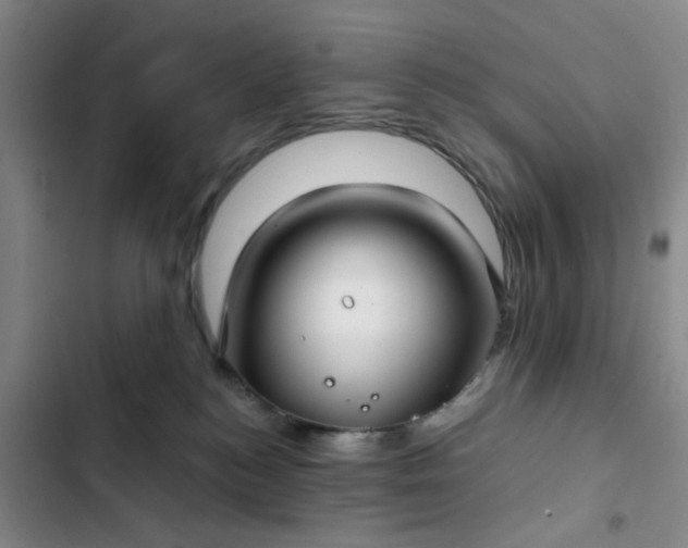 X0000102490184200808221739