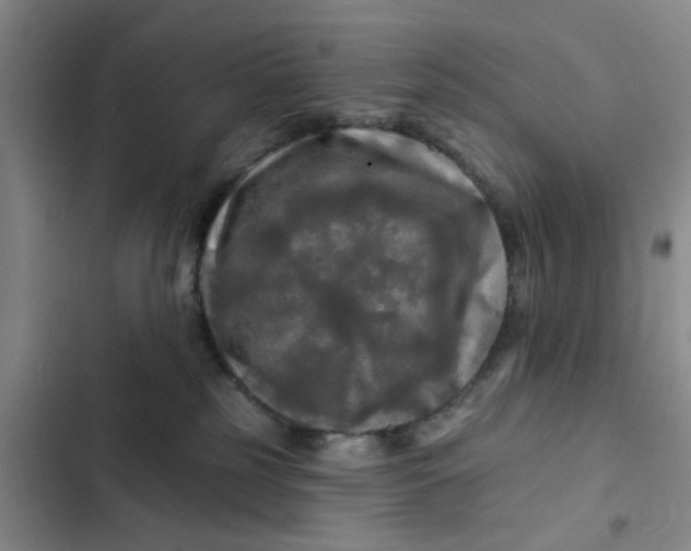 X0000102490185200808221739