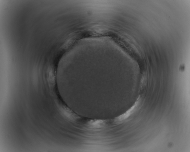 X0000102490186200808221739