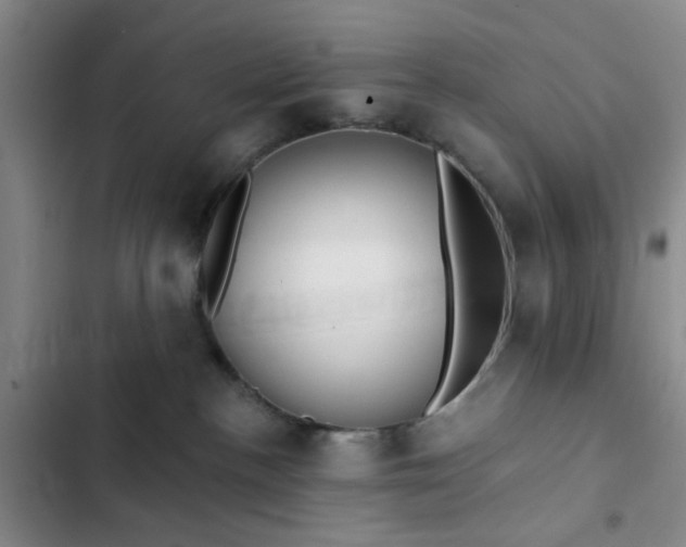 X0000102490188200808221739