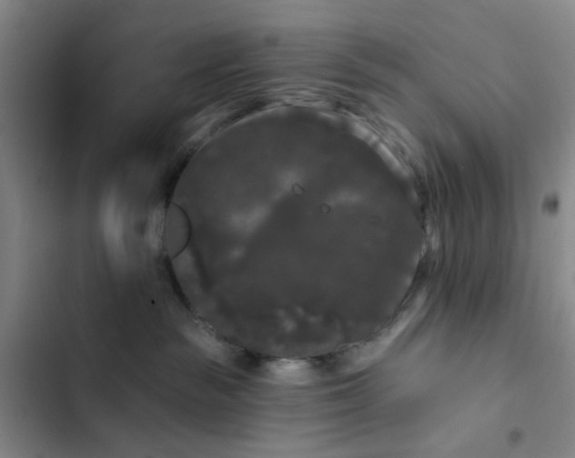 X0000102490189200808221739