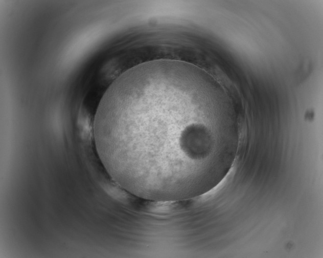 X0000102490191200808221739