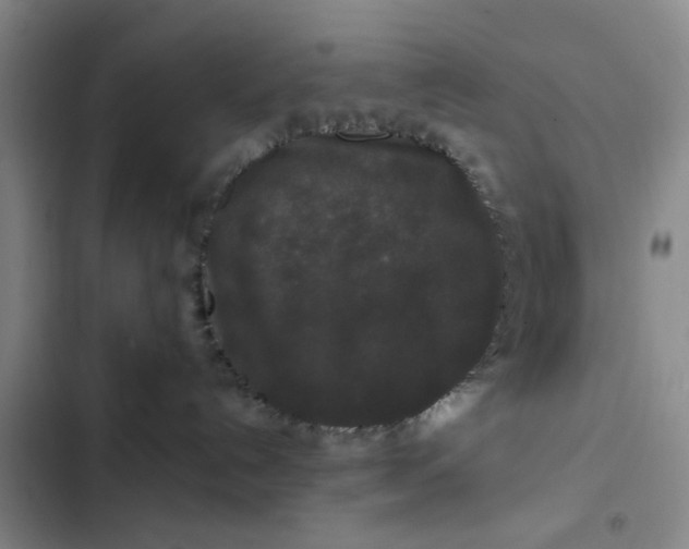 X0000102490192200808221739