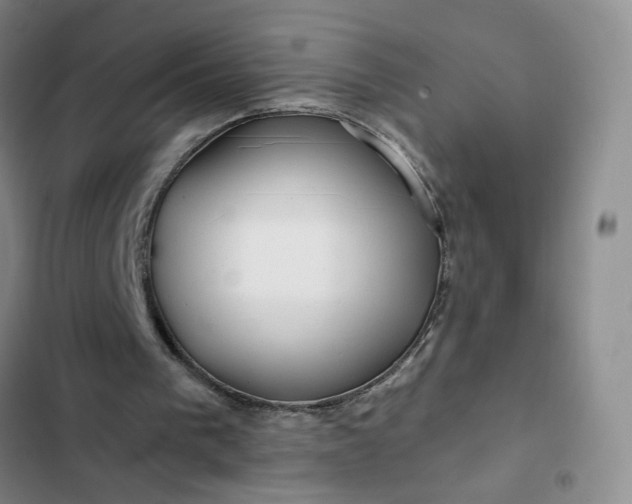 X0000102490193200808221738