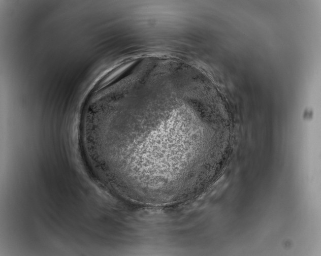 X0000102490194200808221738