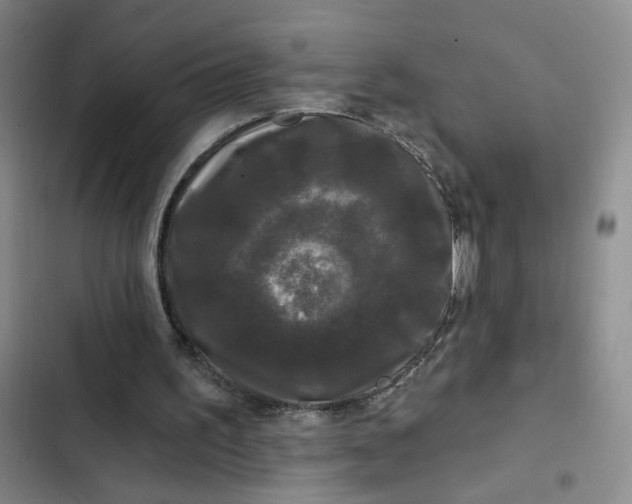 X0000102490195200808221738