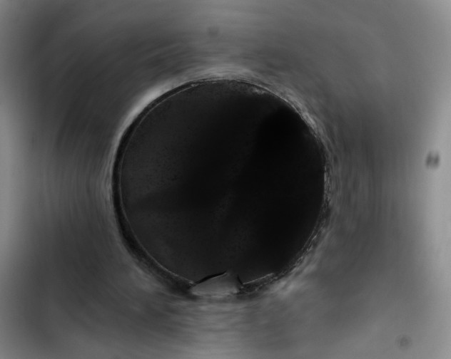 X0000102490196200808221738