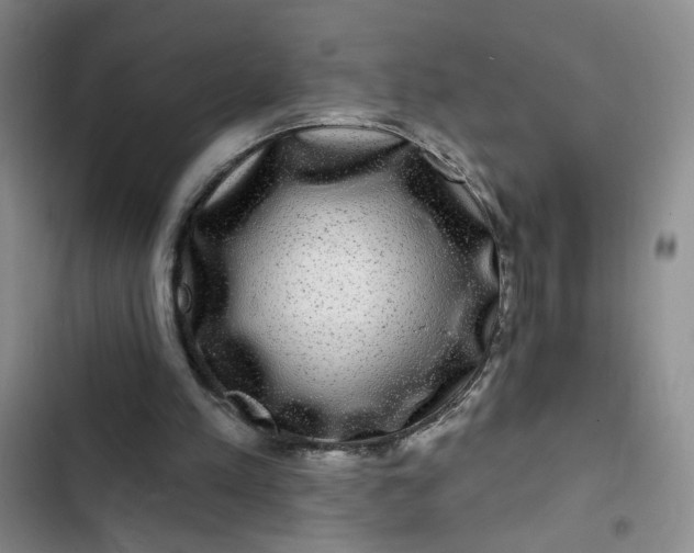 X0000102490197200808221738