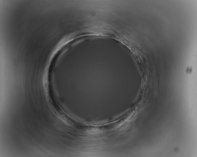 X0000102490198200808221738