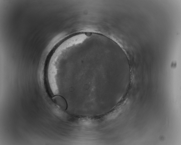 X0000102490199200808221738