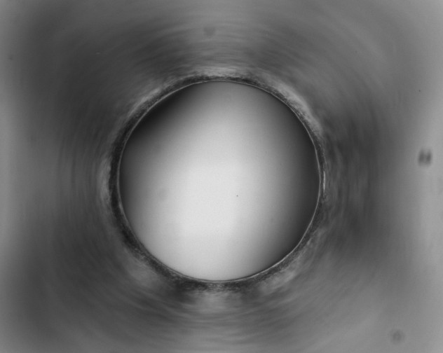 X0000102490201200808221738