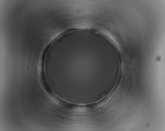 X0000102490202200808221738