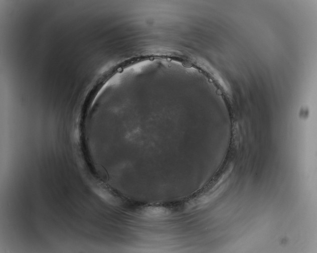 X0000102490203200808221738