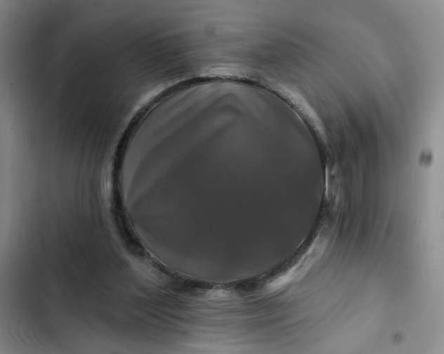 X0000102490204200808221738